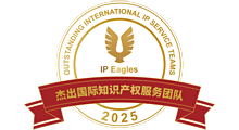 تصنيف The 2025 Outstanding International IP Service Teams